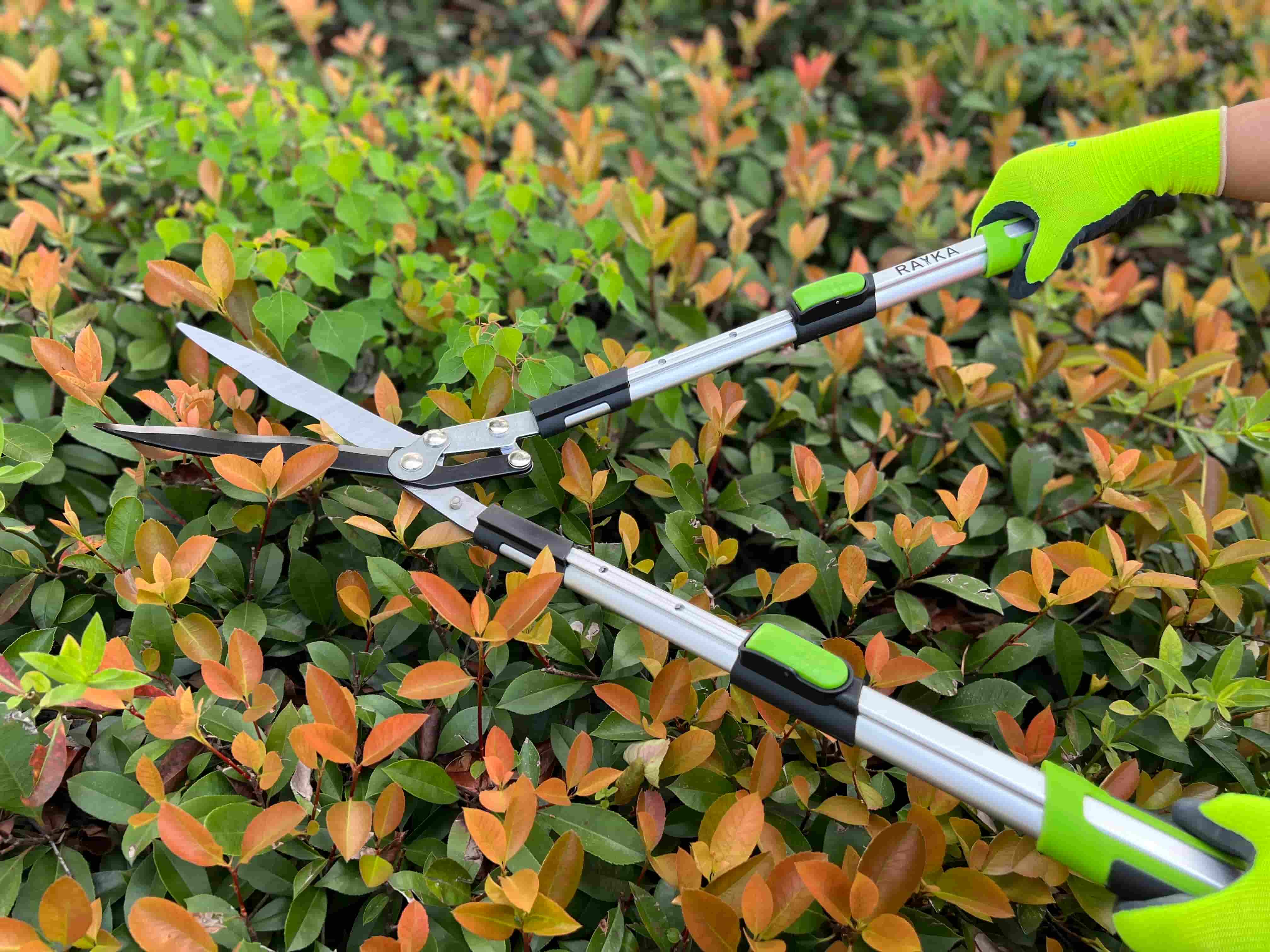 Telescopic lopper with Teflon blade