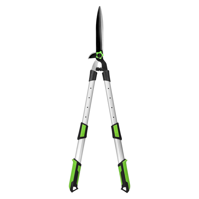 Professional Double Cutter Head Telescopic Tree Pruner with Shock Absorption