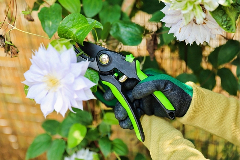 From Raw Material Selection To Packaging Design: Sustainable Production of Rayka Gardening Tools