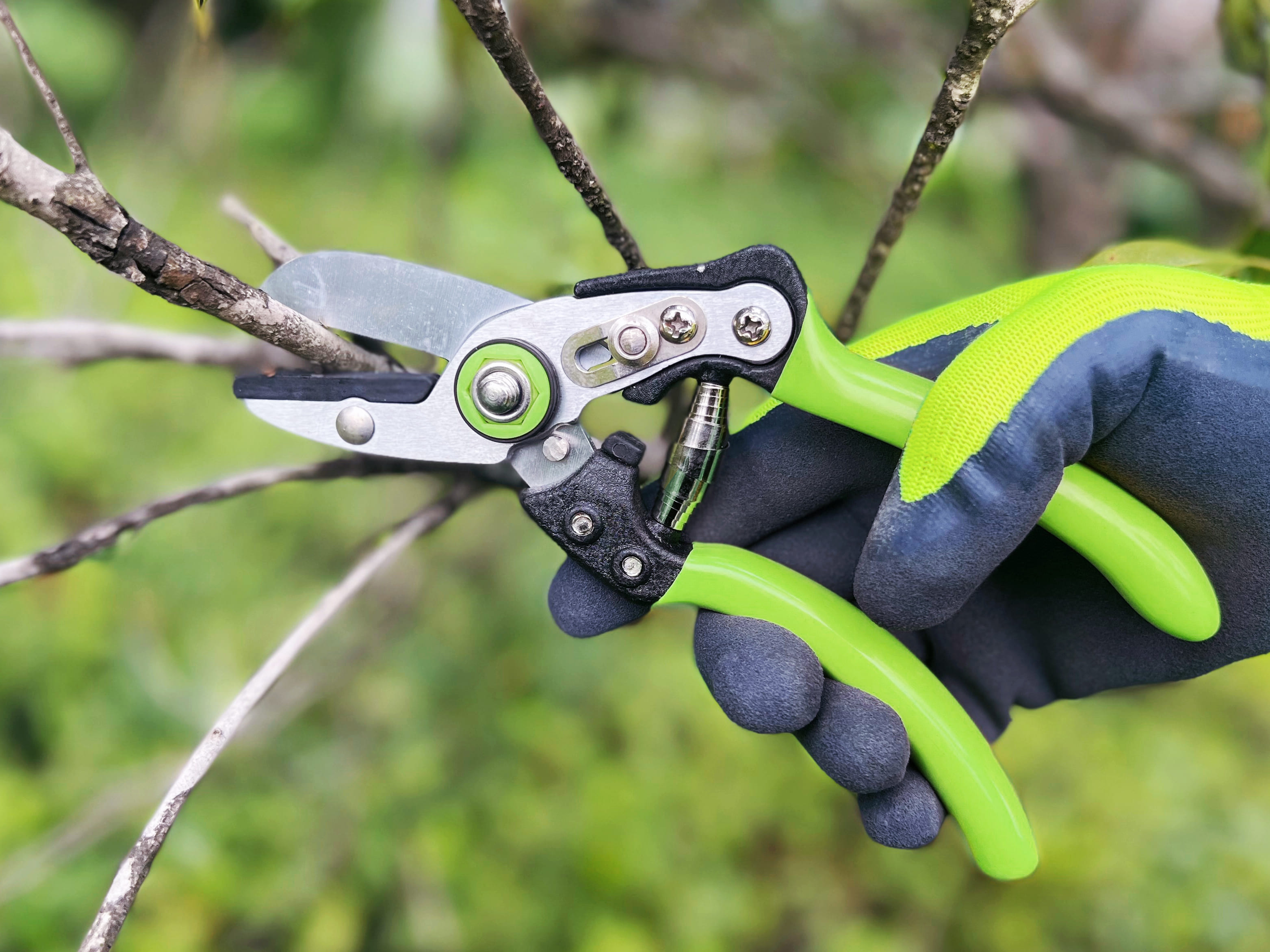 hand pruner application1
