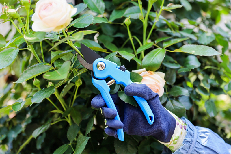 Gardening shears wholesale6