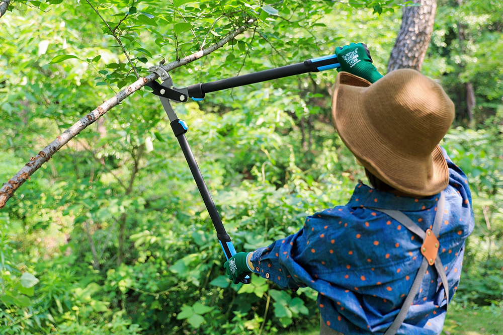 hand pruner application1