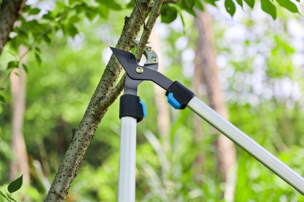 hand pruner application1