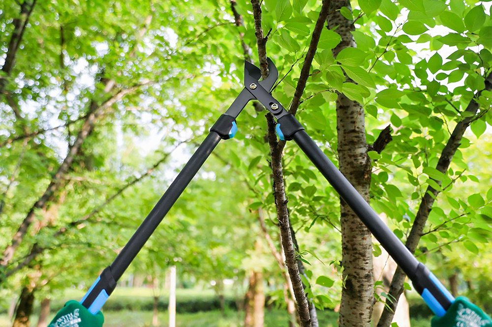 hand pruner application1