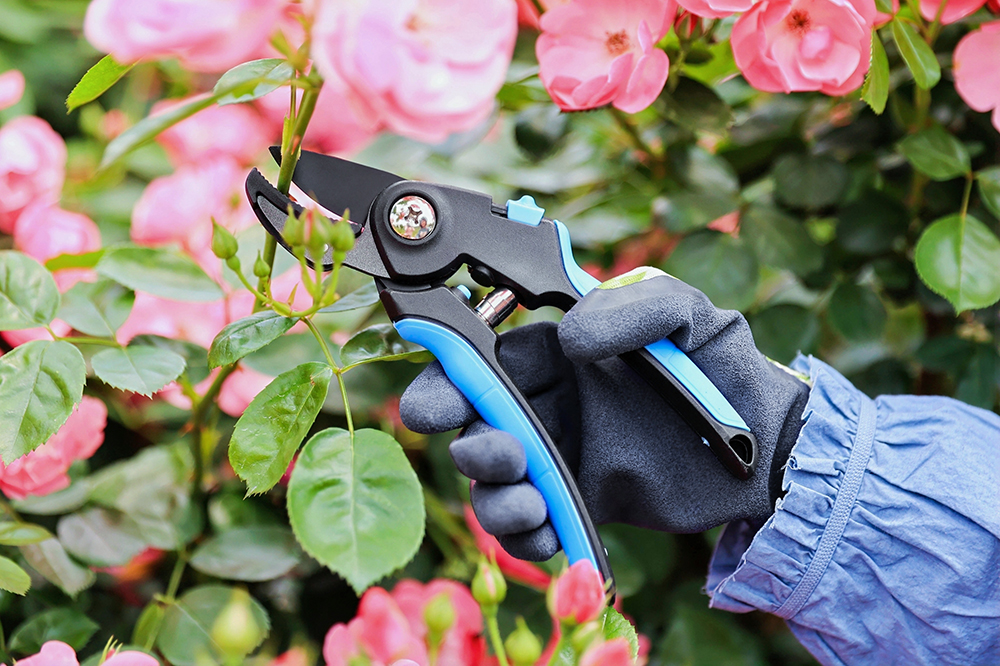 hand pruner application1