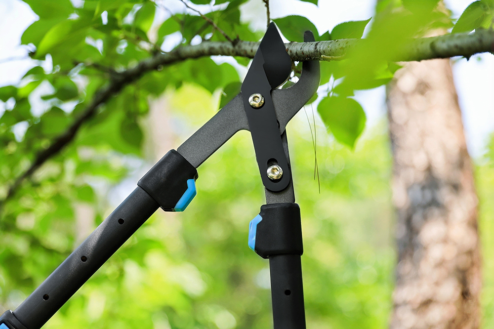 hand pruner application1