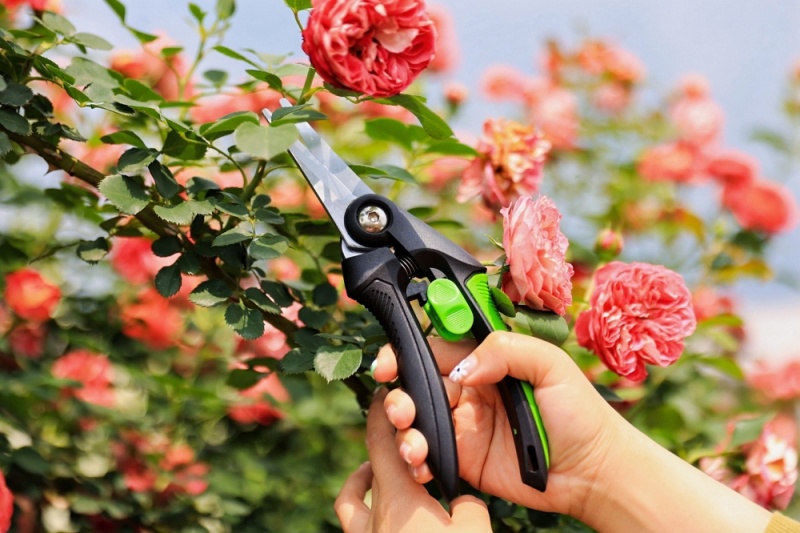 pruning shear oem supplier 04.jpg