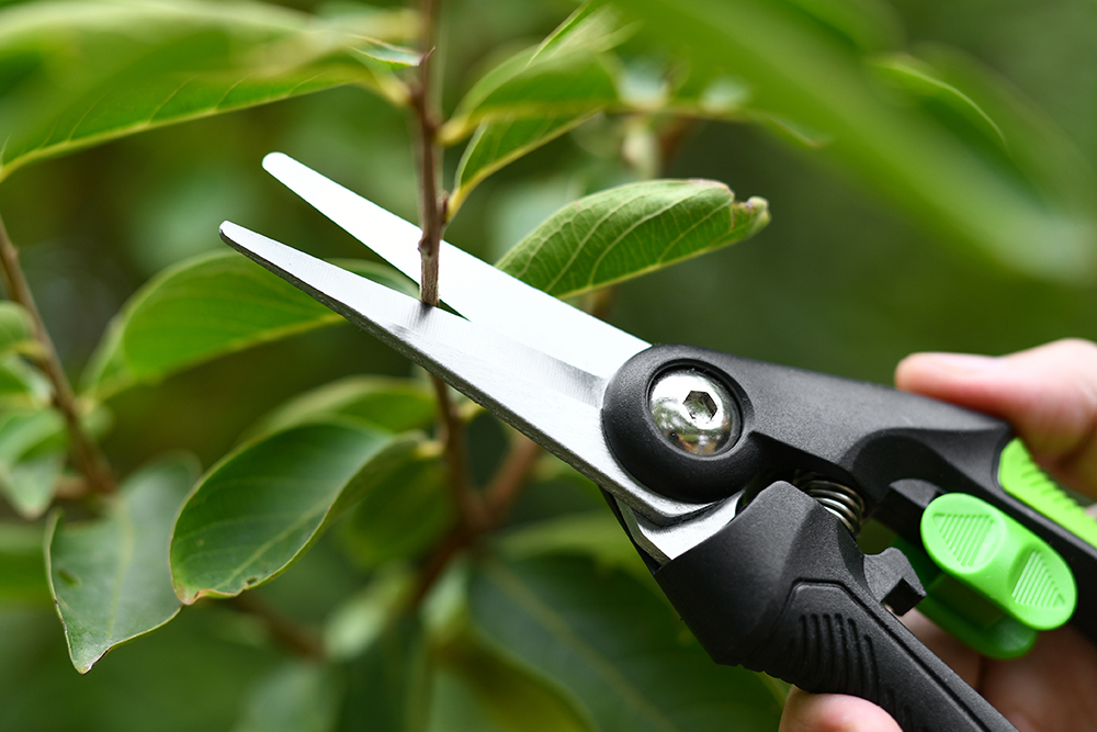 hand pruner application1