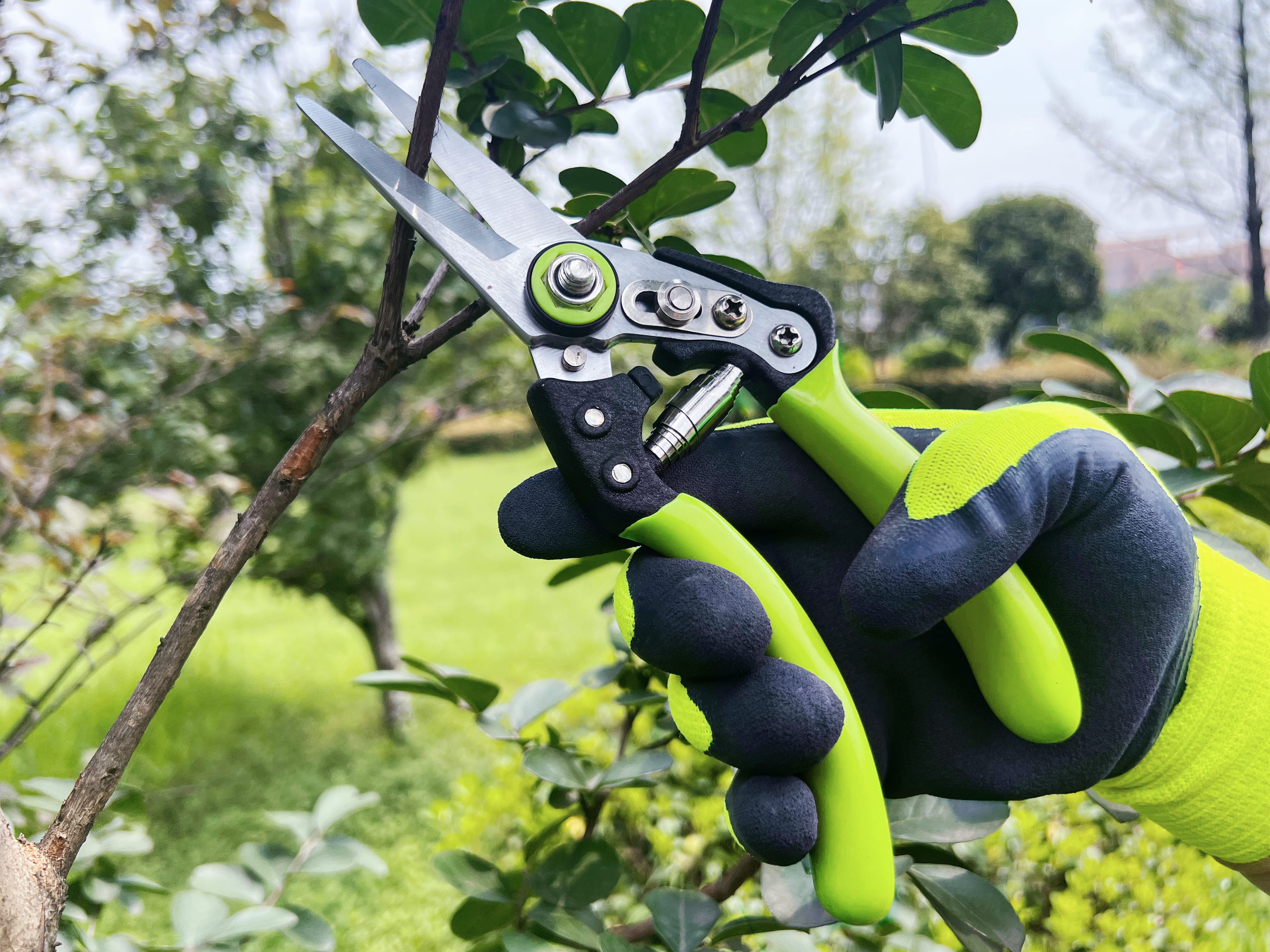 hand pruner application1