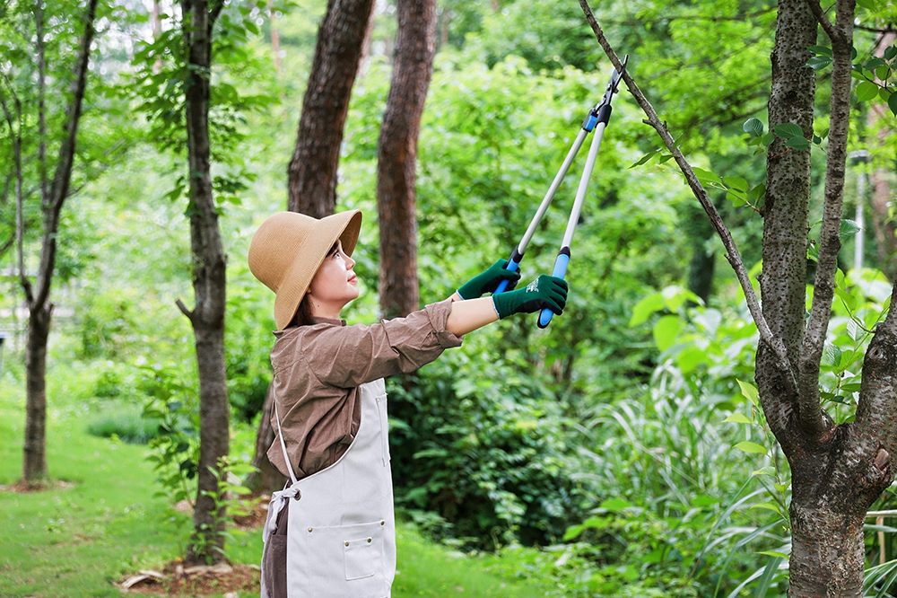 hand pruner application1