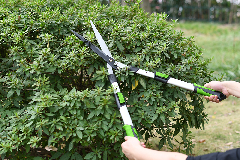 hand pruner application1