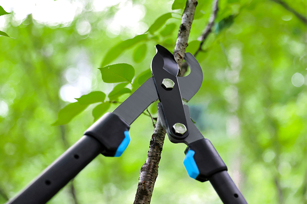 hand pruner application1