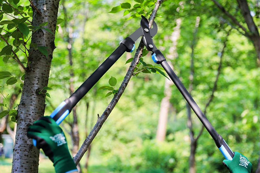 hand pruner application1