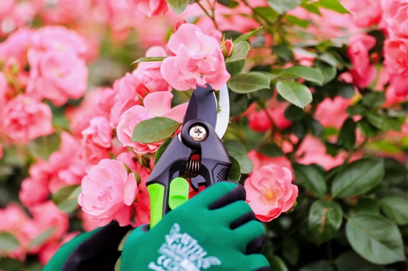 Environmental Protection And Sustainable Development Drive Innovation in Garden Tool Materials