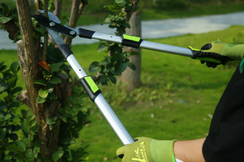 Analysis of Ergonomic Applications in Pruning Shears Design