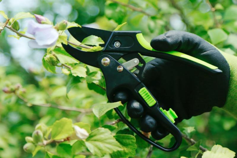 Market Demand Analysis And Wholesale Strategies for European And American Gardening Shears