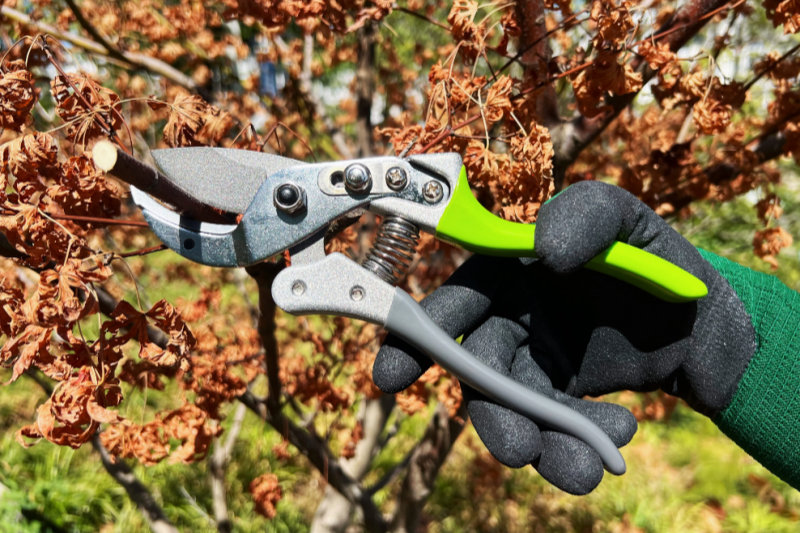 Double-bladed Vs. Single-bladed Pruning Shears: Which Is Better for Home Users?