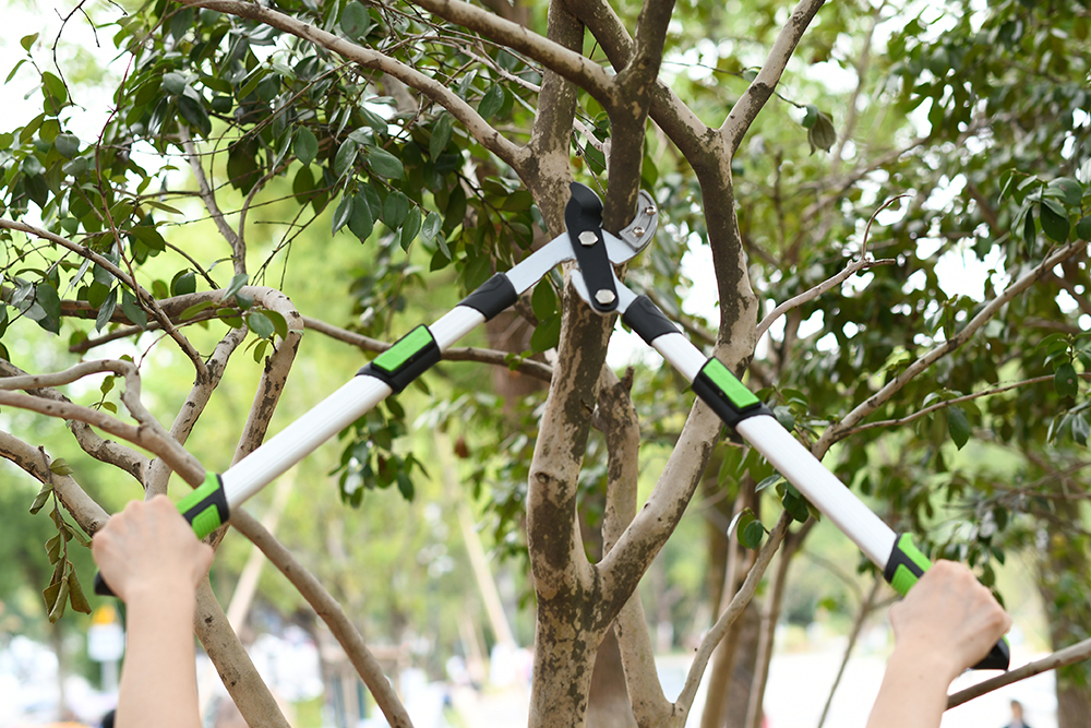 hand lopper application1