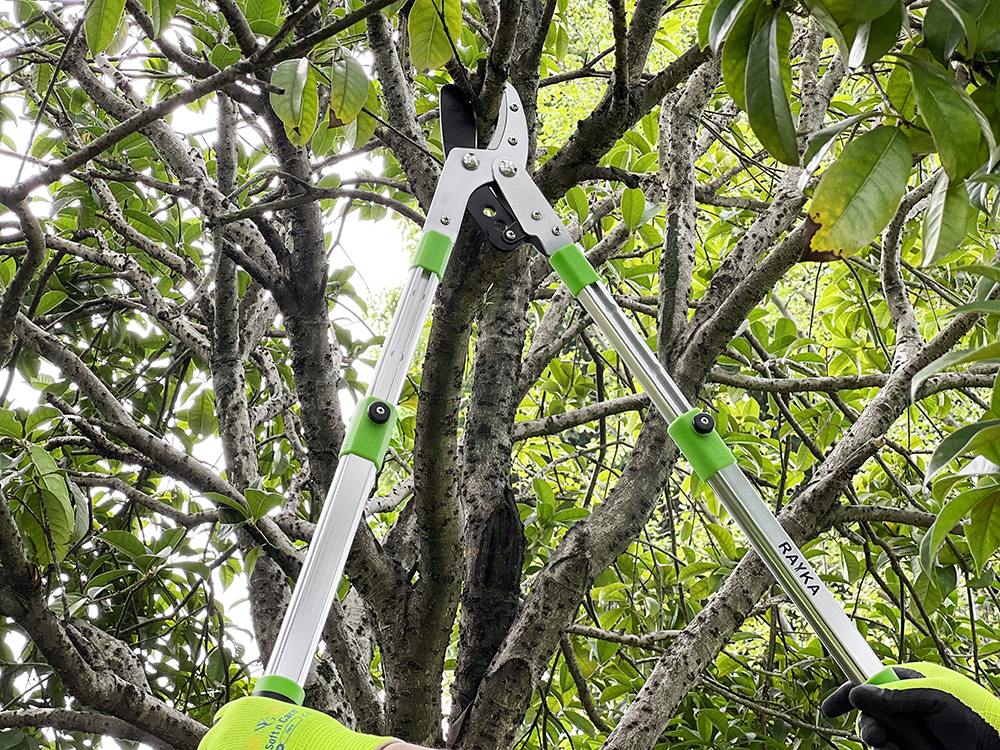 hand lopper application2