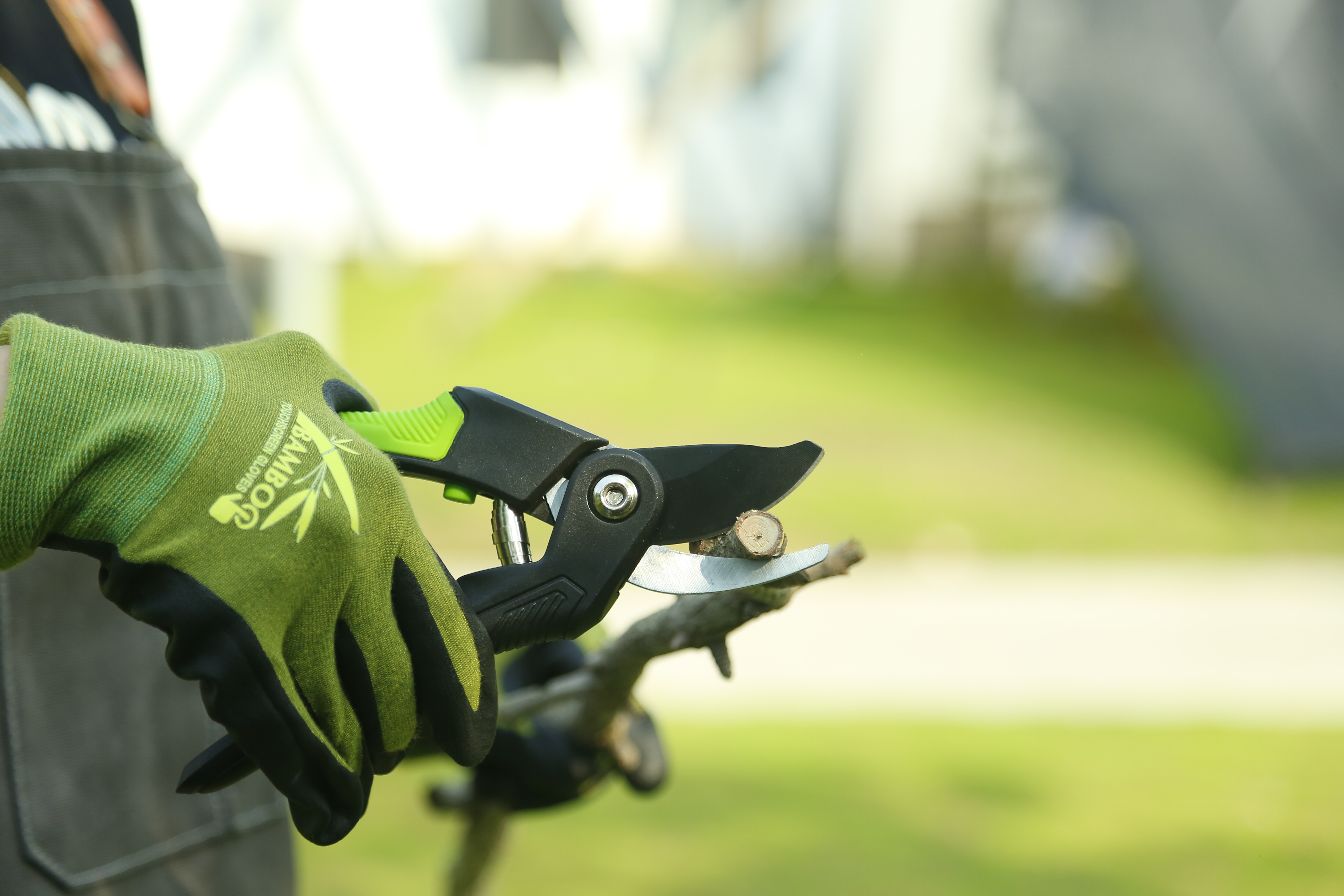 hand pruner application3