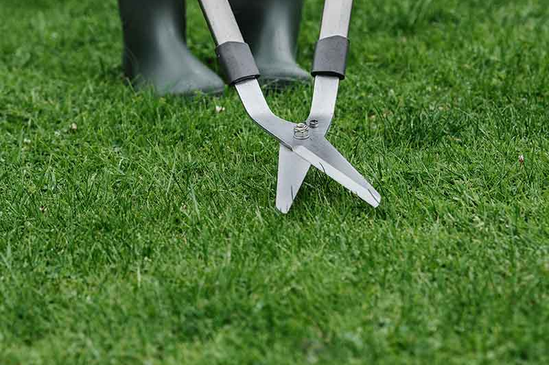 Differences in Ergonomic Preferences for Lawn Shear Design between North American And European Wholesale Markets