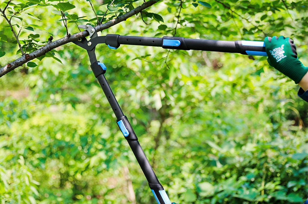 hand pruner application1