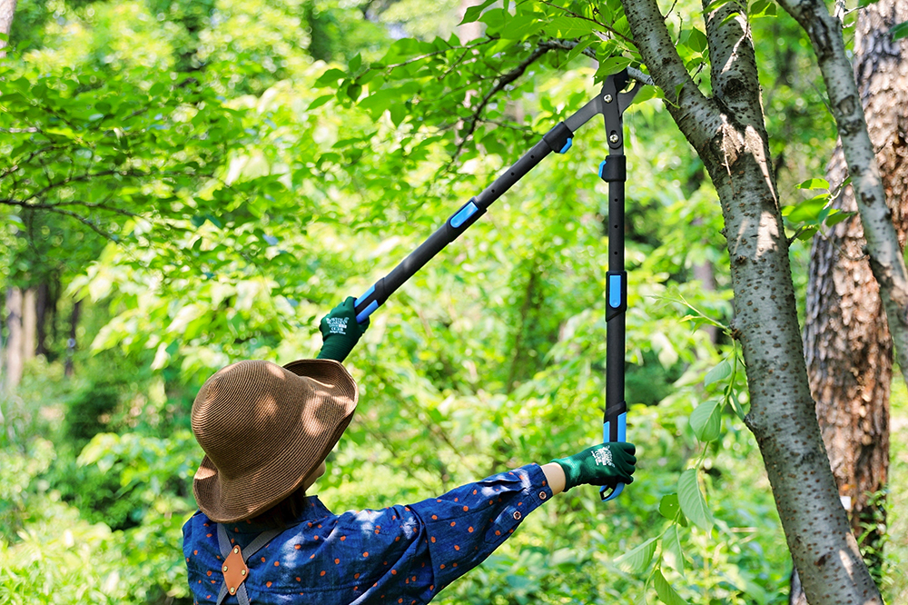 hand pruner application1