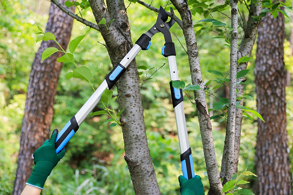 hand pruner application1