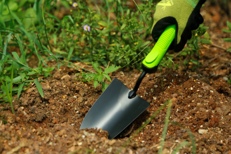 How To Identify The Cost-Effectiveness of A Gardening Tool Set?