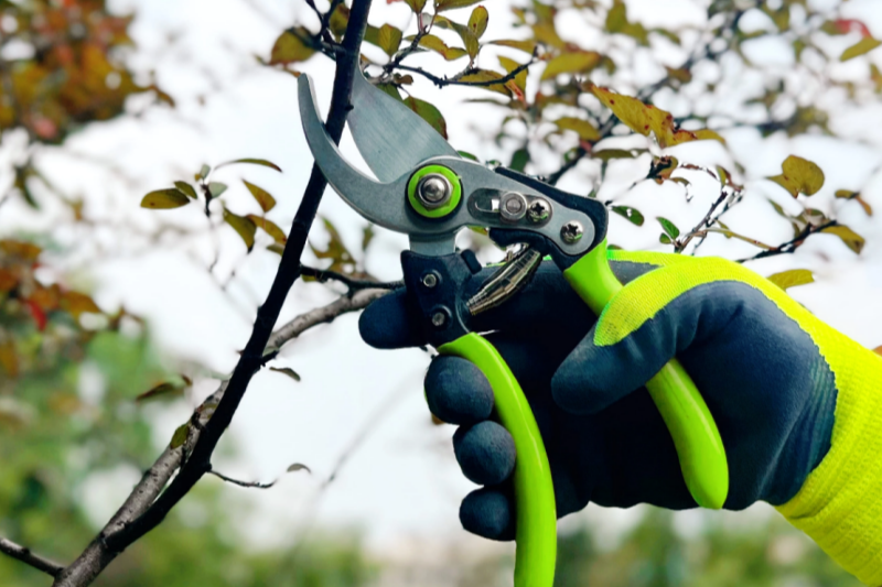 Gardening Shears – A Practical Gift Recommendation for Gardening Enthusiasts