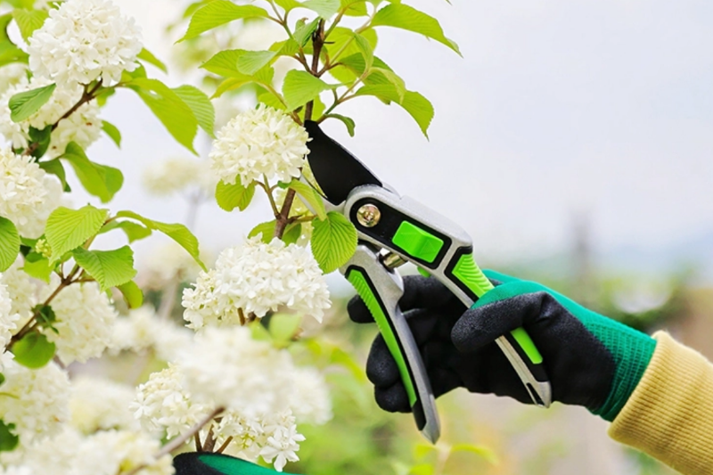 How To Choose The Right Pruning Shears Length? Size Recommendations for Different Uses