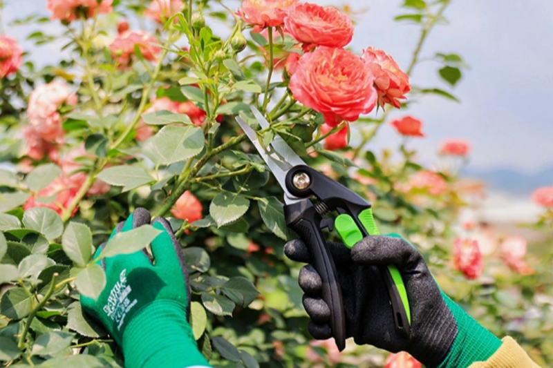 Is A Garden Saw Suitable for Small Balconies Or Indoor Planting Areas?