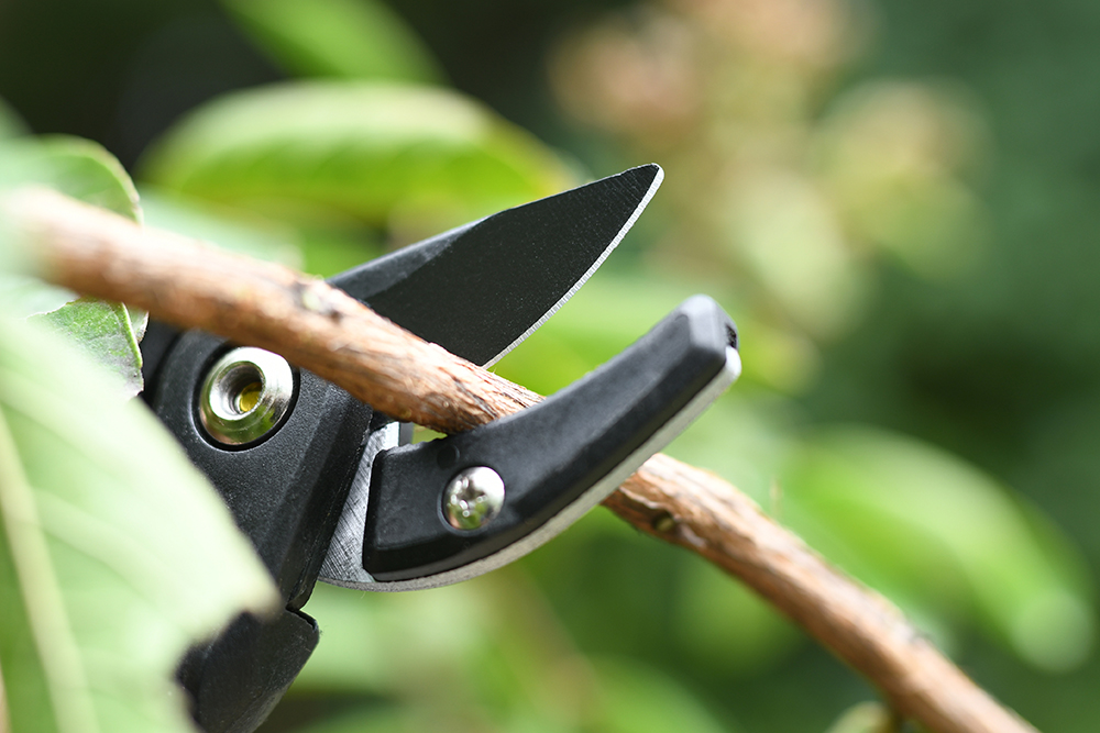 hand pruner application1