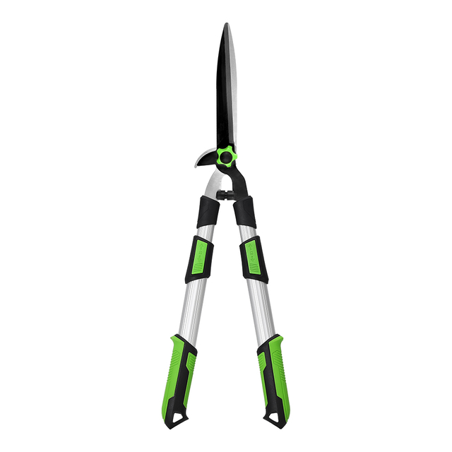 Professional Double Cutter Head Telescopic Tree Pruner with Shock Absorption