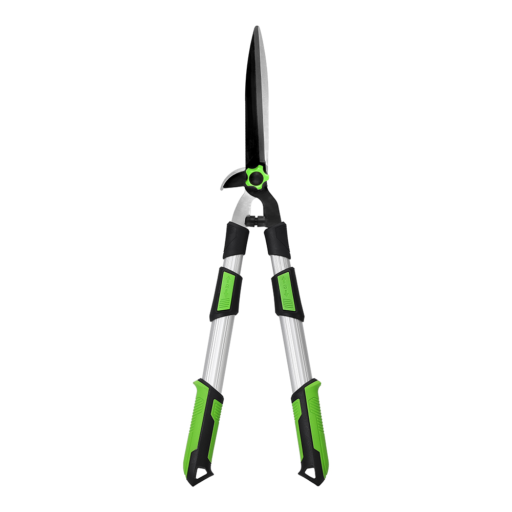 Professional Double Cutter Head Telescopic Tree Pruner with Shock Absorption
