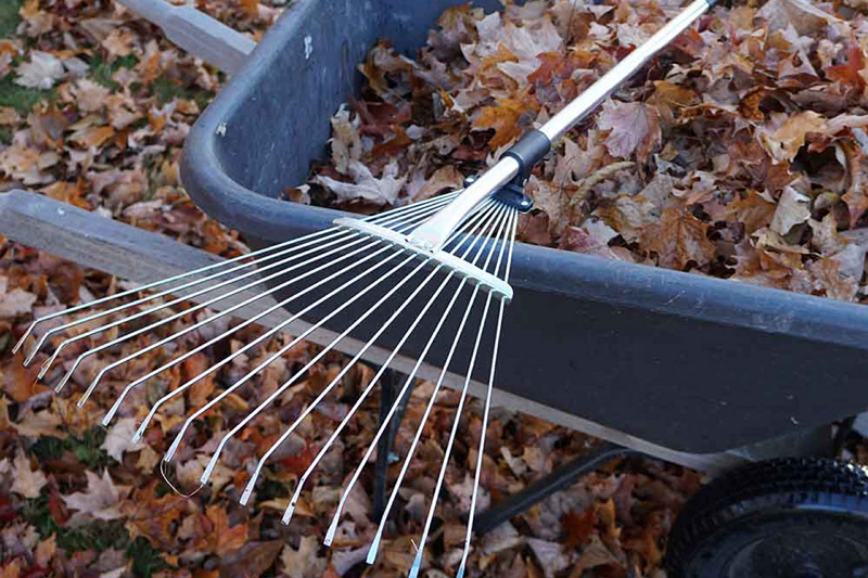 Recommended 5 Basic Gardening Rakes for Beginners in Home Gardening