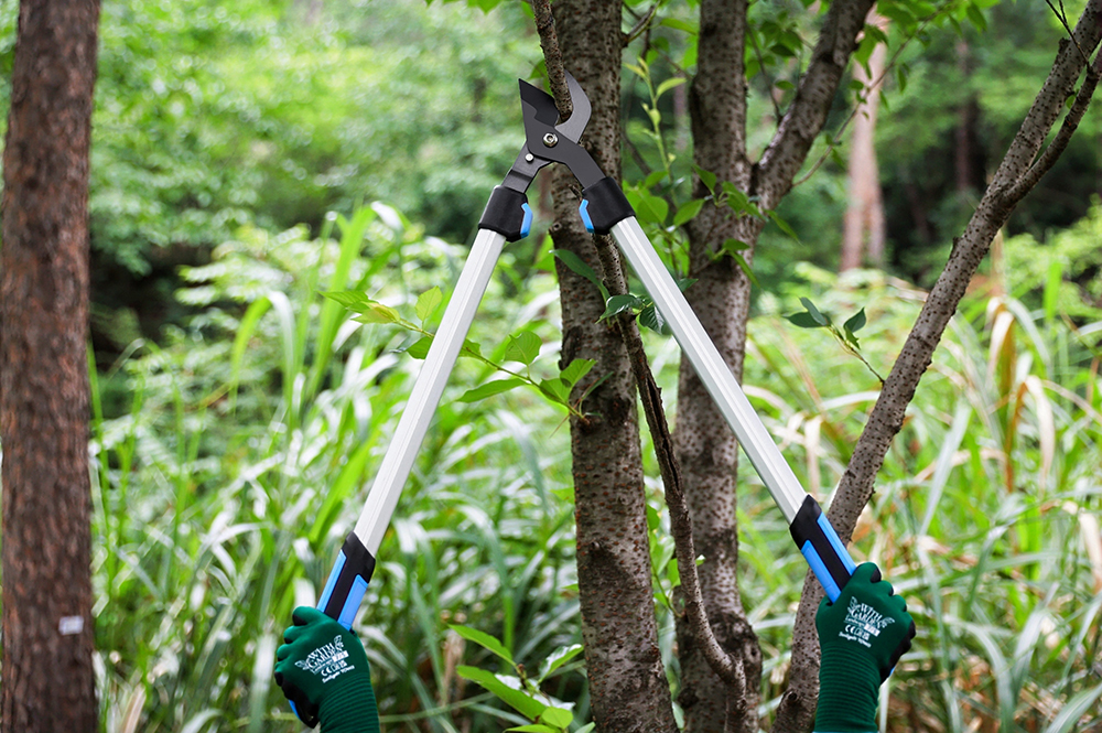 hand pruner application1