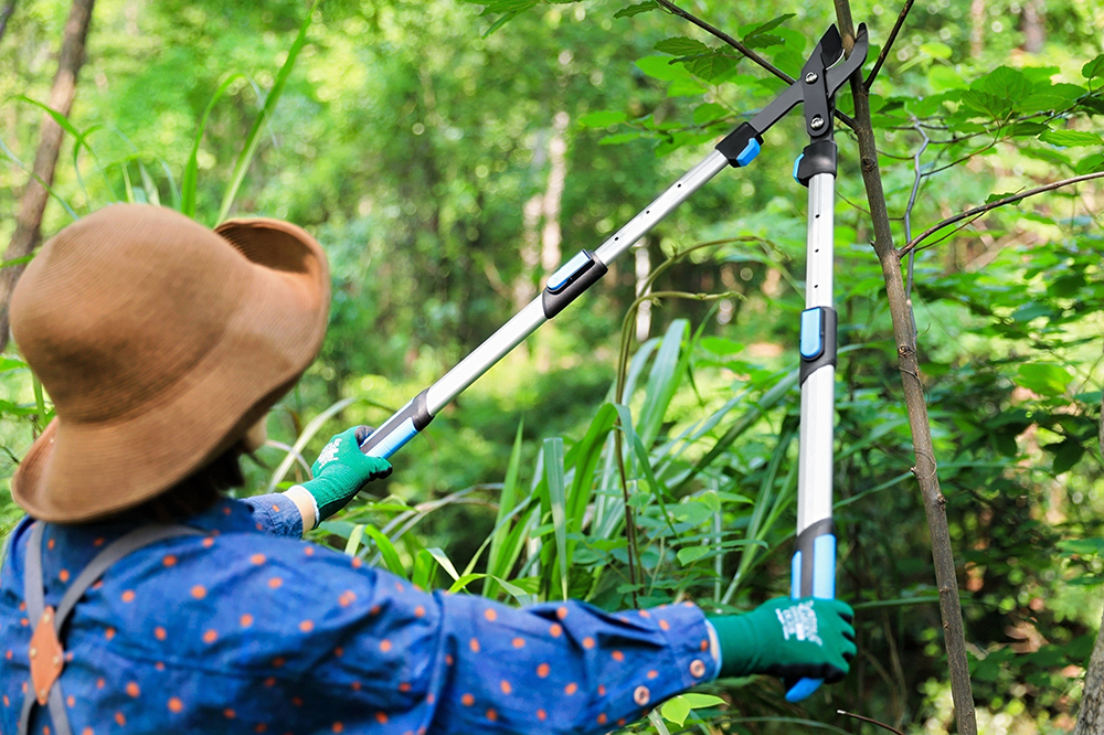 hand pruner application1