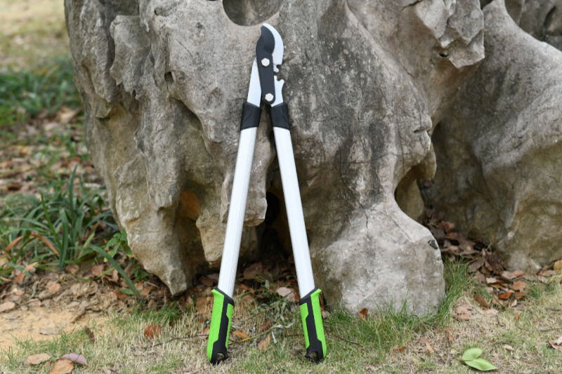 A Guide To Garden Saw Wholesalers in The European And American Markets