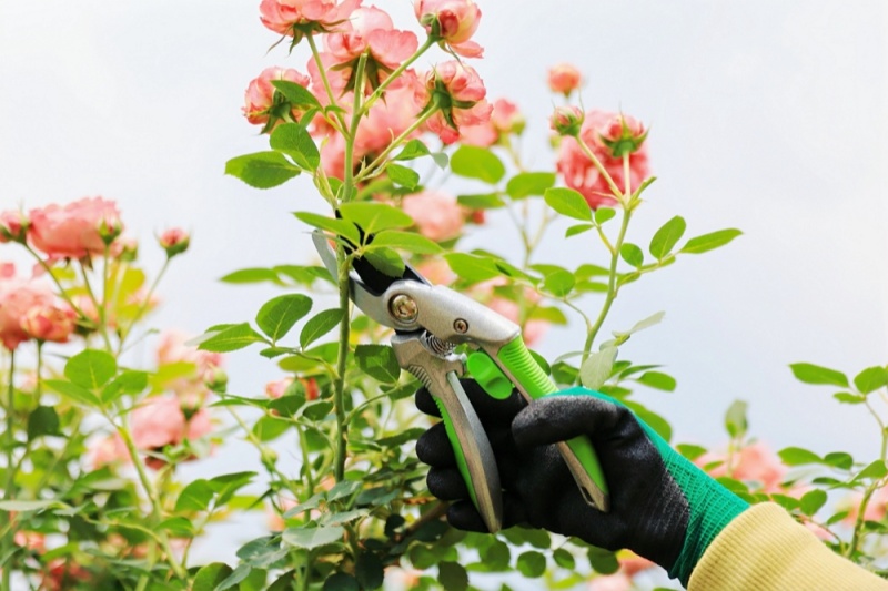 How Innovative Coating Technology Prevents Rusting And Extends The Lifespan of Gardening Tools?