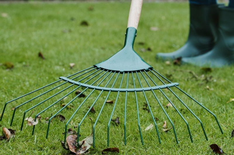 How To Choose The Right Garden Rake for Different Backyard Types?