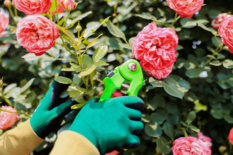 How To Reduce Gardening Shears Manufacturing Costs Through Product Structure Optimization?