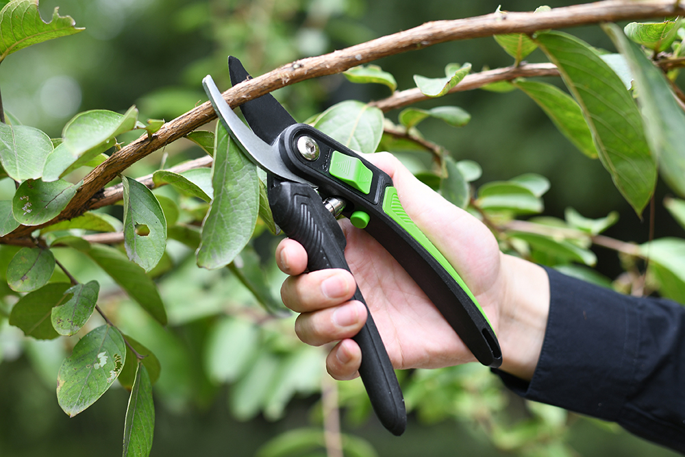 hand pruner application1