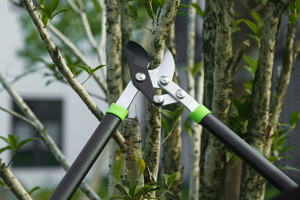 hand lopper application2