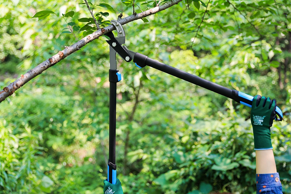 hand pruner application1