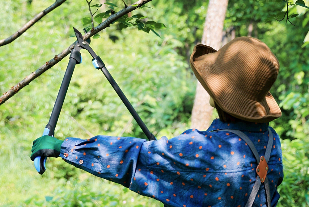 hand pruner application1