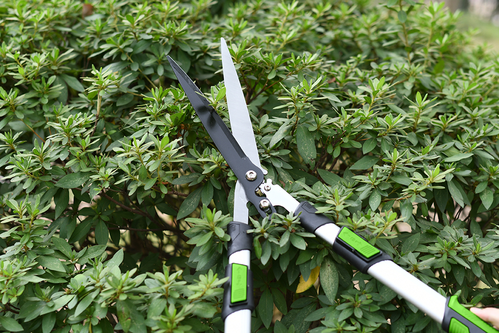 hand pruner application1