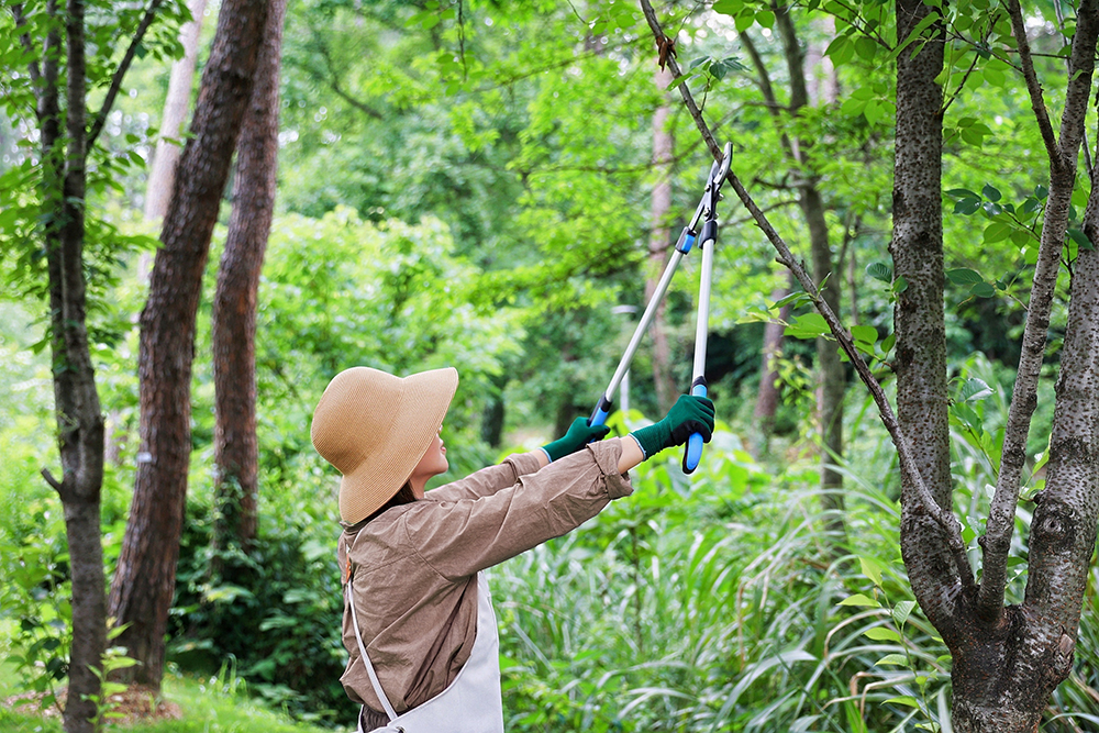 hand pruner application1