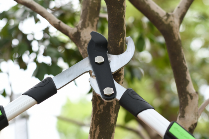 The Role of Pruning Shears in Precise Shaping of Potted Plants And Dense Flowering Plants