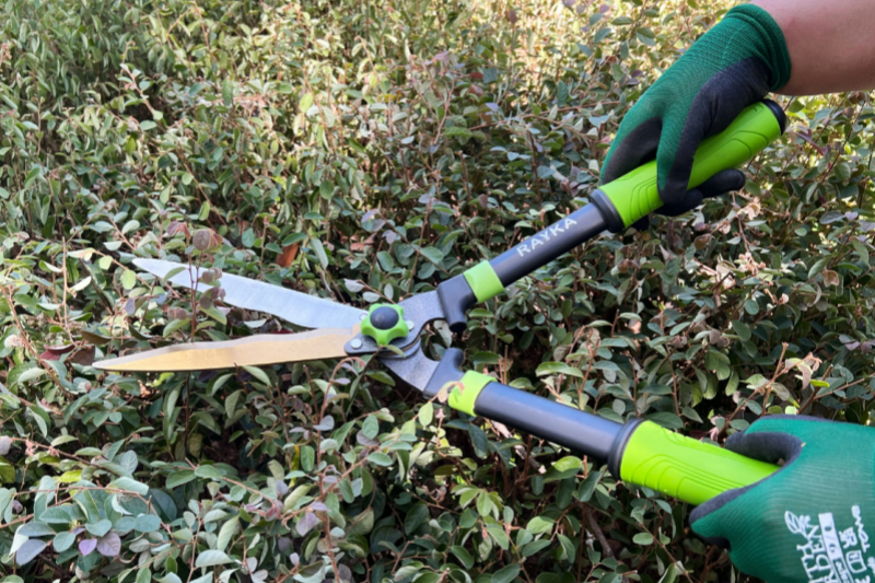 hedge shears supplier 01.png